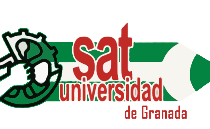 Investigando con derechos: Programa del Sindicato Andaluz de Trabajadores/as para las elecciones sindicales del personal docente e Investigador de la Universidad de Granada